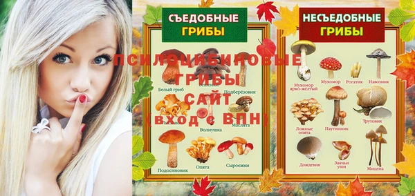 ешки Краснотурьинск