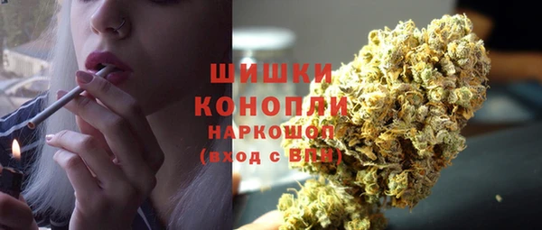 соль ск Краснослободск