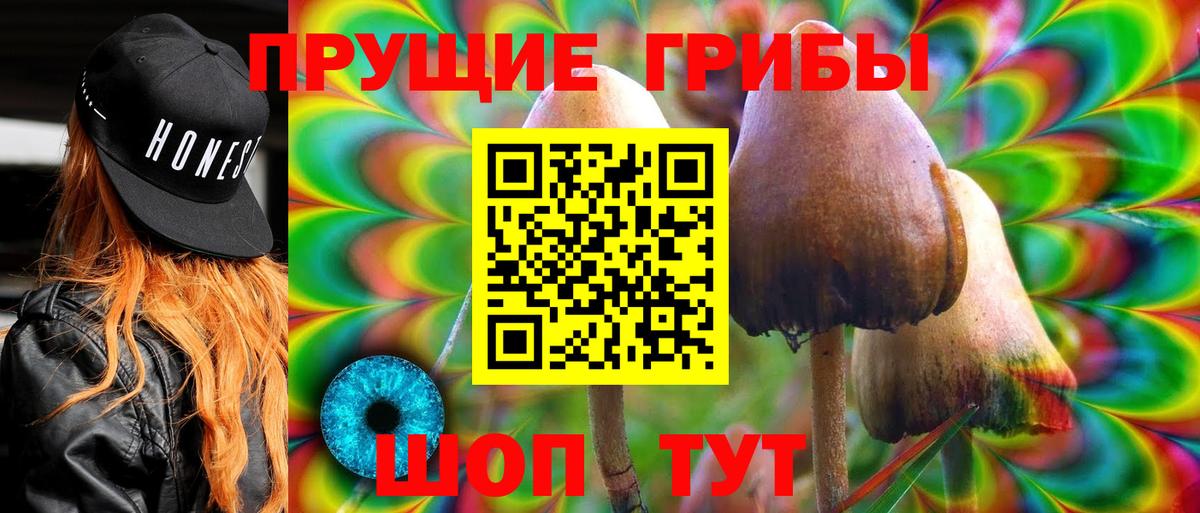 Галлюциногенные грибы Magic Shrooms  купить   Арзамас  Псилоцибиновые грибы Magic Shrooms  Вход с VPN 